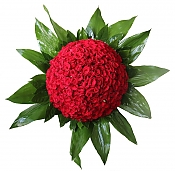 دسته گل 417