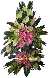 بزرگ و تشریفاتی 206