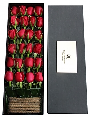 جعبه گل 610