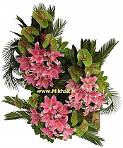 بزرگ و تشریفاتی 211